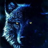 images/avatars/avatar-257.jpg